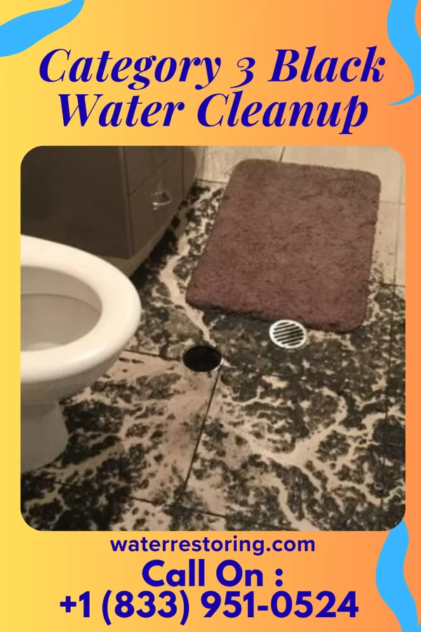 Category 3 Black Water Cleanup in Renfrow, OK